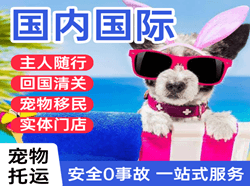 鄂尔多斯国际宠物托运 【国